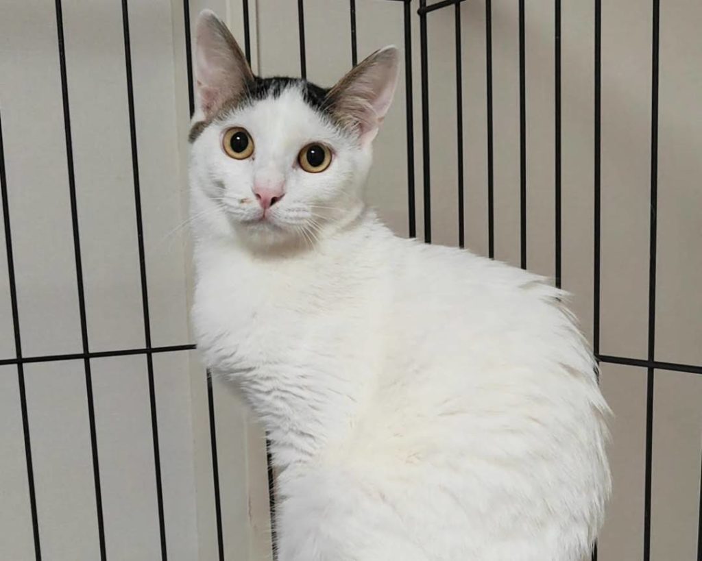 食いしん坊な男の子【デイリー】