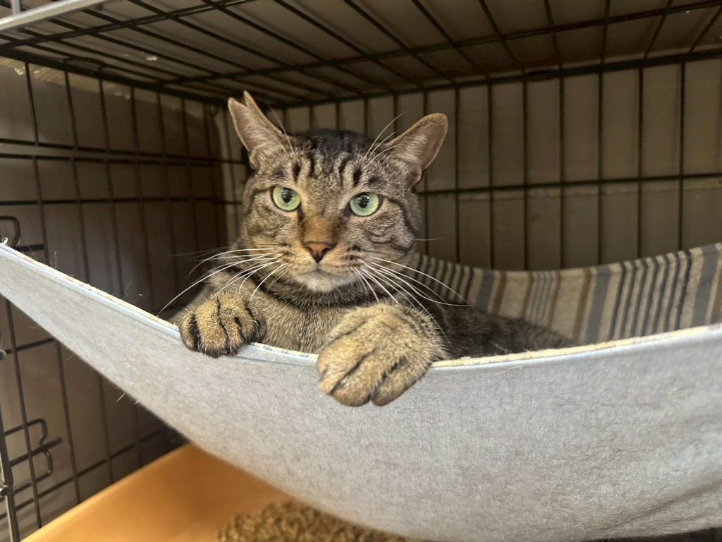 おっとりで甘えん坊な男の子【世界】