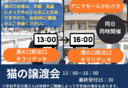 譲渡会お知らせ (2)