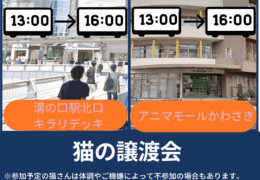 譲渡会お知らせ (2)