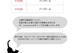 譲渡会日程_20260116_134335_0000