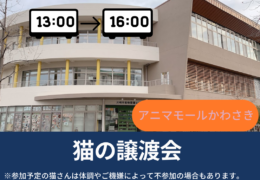 1_20260123_191501_0000