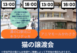 譲渡会お知らせ (7)