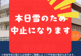 譲渡会お知らせ_20260208_093918_0000
