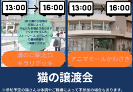 譲渡会お知らせ (10)